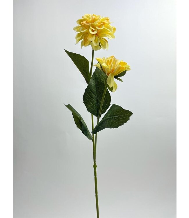 dahlia | geel | 65 centimeter | Per stuk te bestellen