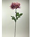 chrysant | lila | 82 centimeter | Per stuk te bestellen