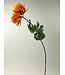 chrysant | oranje | 82 centimeter | Per stuk te bestellen