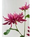 Roze chrysant zijden bloem | Lengte 70 centimeter | Per 3 stuks te bestellen