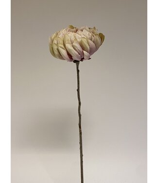 Silk Flowers by JJ Roze chrysant zijden bloem | Lengte  57 centimeter | Per stuk