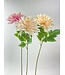 dahlia mix | roze | 67 centimeter | Per stuk te bestellen