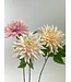 dahlia mix | roze | 67 centimeter | Per stuk te bestellen