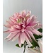 dahlia mix | roze | 67 centimeter | Per stuk te bestellen