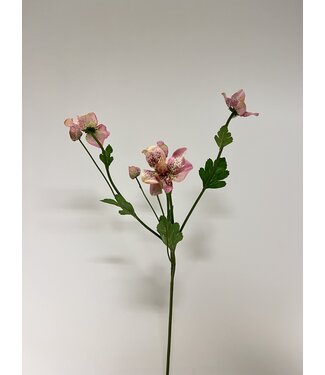 Silk Flowers by JJ helleborus | roze| 60 centimeter | Per stuk