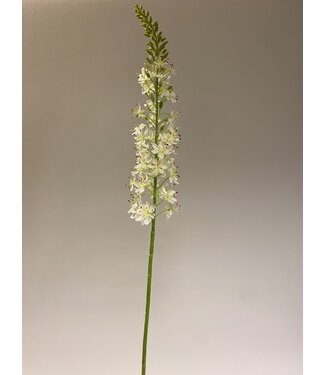 Silk Flowers by JJ eremurus | wit | 106 centimeter | Per stuk