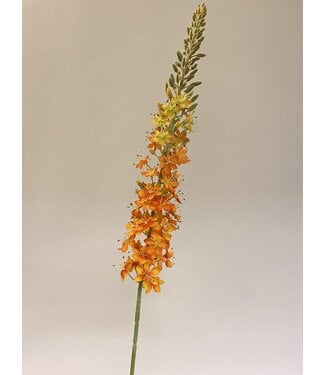 Silk Flowers by JJ eremurus | oranje | 106 centimeter | Per stuk