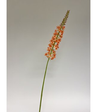 Silk Flowers by JJ eremurus | oranje | 82 centimeter | Per stuk