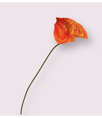 Silk Flowers by JJ anthurium | oranje | 66 centimeter | Per stuk