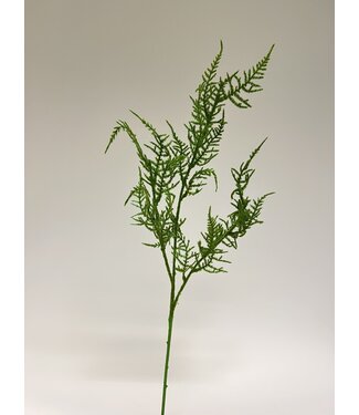 Silk Flowers by JJ asparagus tak | groen | 69 centimeter | Per stuk