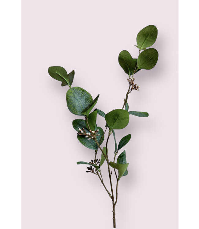 eucalyptus | groen | 75 centimeter | Per stuk te bestellen