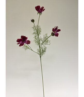 Silk Flowers by JJ cosmea | fuchsia | 90 centimeter | Per stuk