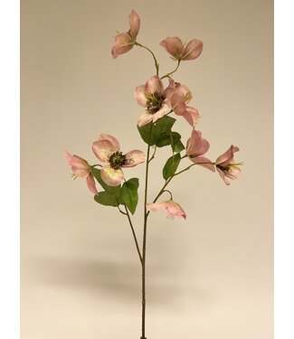 Silk Flowers by JJ helleborus | roze | 60 centimeter | Per stuk