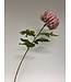 chrysant | roze | 76 centimeter | Per stuk te bestellen