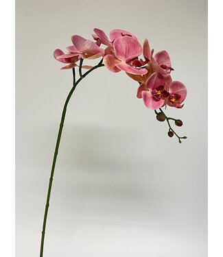 Silk Flowers by JJ orchidee | roze| 87 centimeter | Per stuk