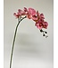 orchidee | roze| 87 centimeter | Per stuk te bestellen