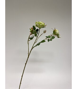 Silk Flowers by JJ Groene roos zijden bloem | Lengte 70 centimeter | Per stuk