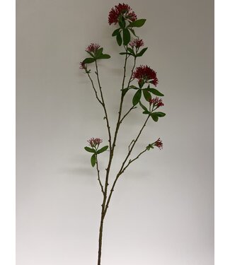 Silk Flowers by JJ metrosideros | rood | 110 centimeter | Per stuk