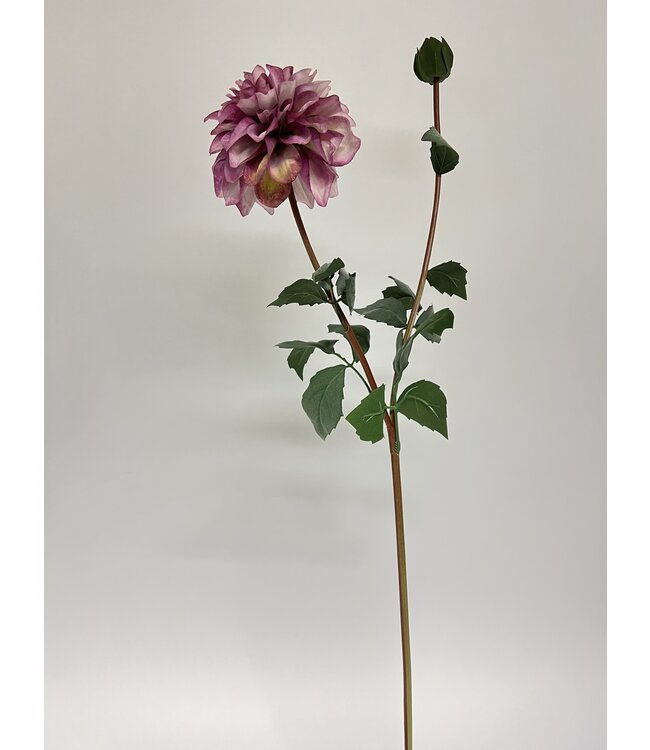 dahlia | roze | 75 centimeter | Per stuk te bestellen