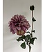 dahlia | roze | 75 centimeter | Per stuk te bestellen