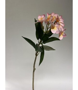 Silk Flowers by JJ frangipani | roze | 80 centimeter | Per stuk