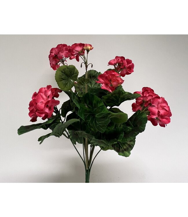 geranium | roze | 48 centimeter | Per stuk te bestellen