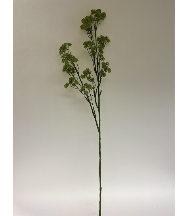 berenklauw | groen | 127 centimeter | Per stuk te bestellen