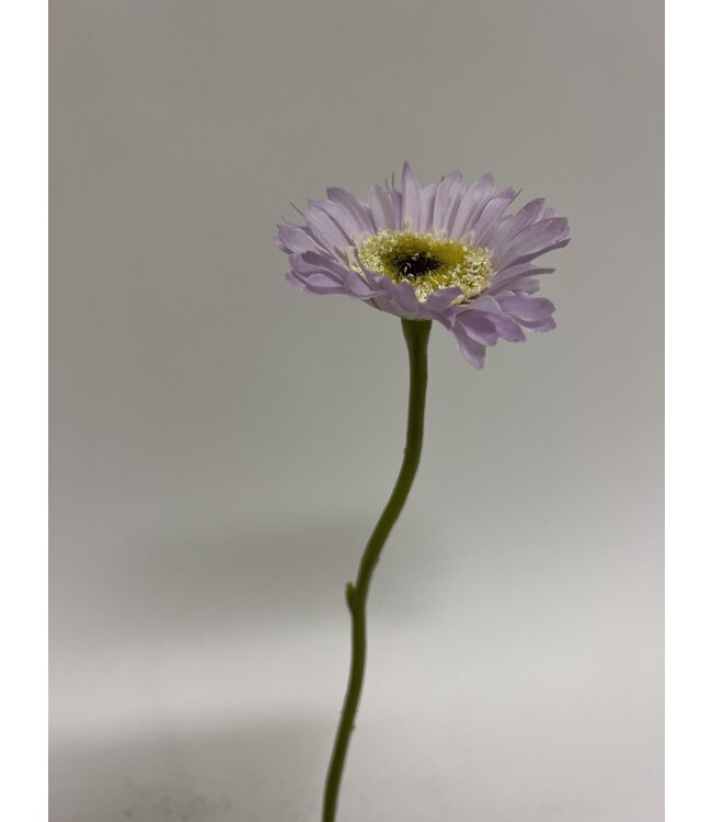 gerbera | paars | 28 centimeter | Per stuk te bestellen