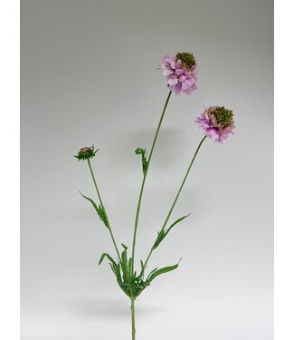 Silk Flowers by JJ scabiosa | roze | 65 centimeter | Per stuk