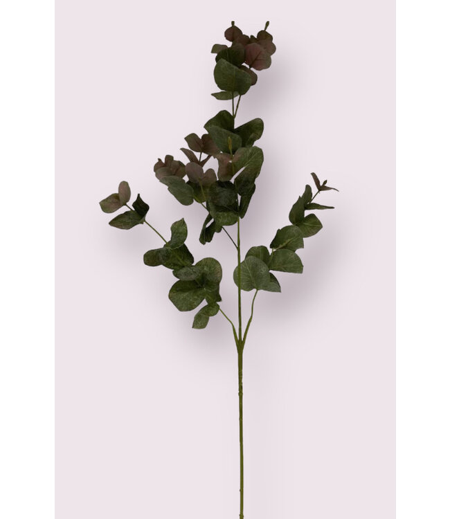 eucalyptus | groen roze | 90 centimeter | Per stuk te bestellen