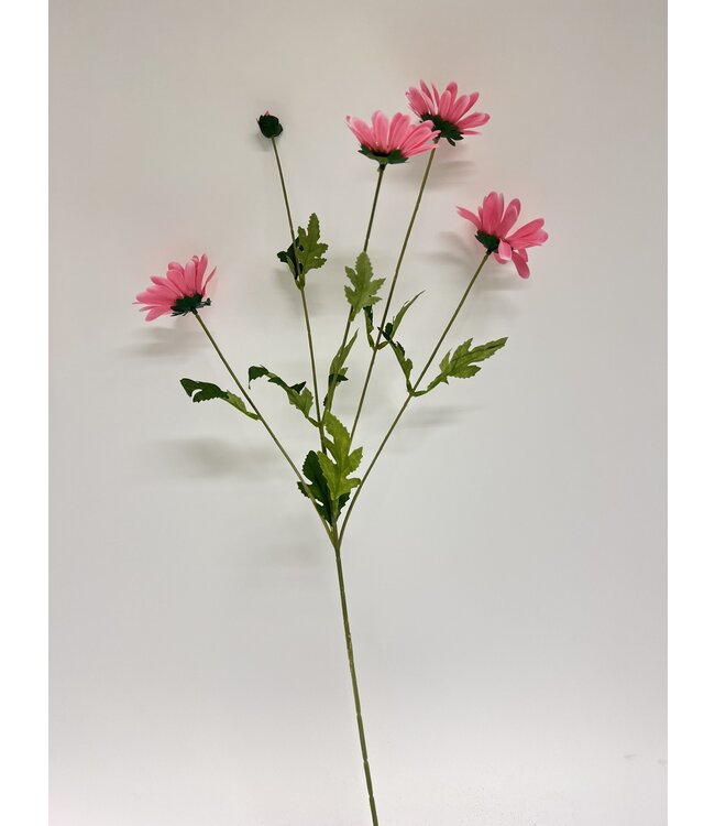 margriet | roze | 75 centimeter | Per stuk te bestellen