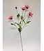 Pink daisy silk flower | Length 75 centimetres | Ordered by piece