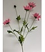 margriet | roze | 75 centimeter | Per stuk te bestellen