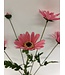 margriet | roze | 75 centimeter | Per stuk te bestellen