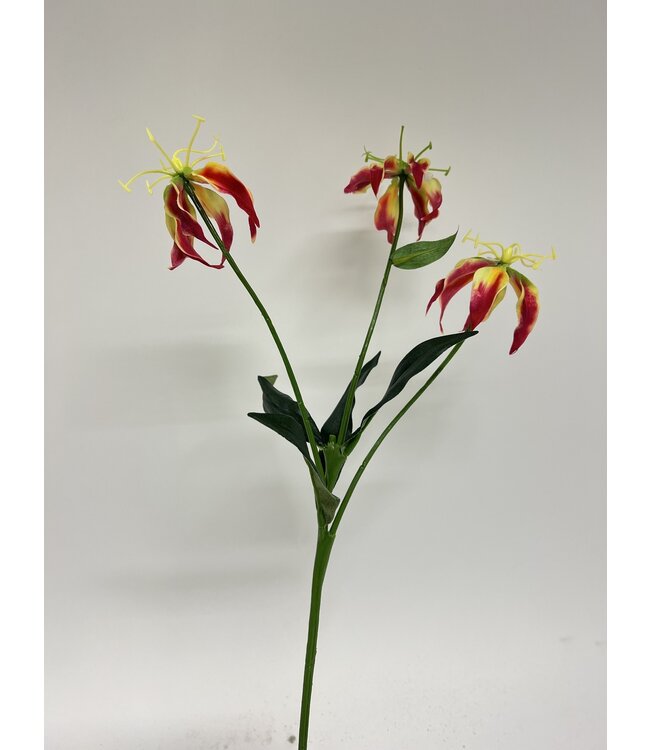 gloriosa | roze | 50 centimeter | Per stuk te bestellen