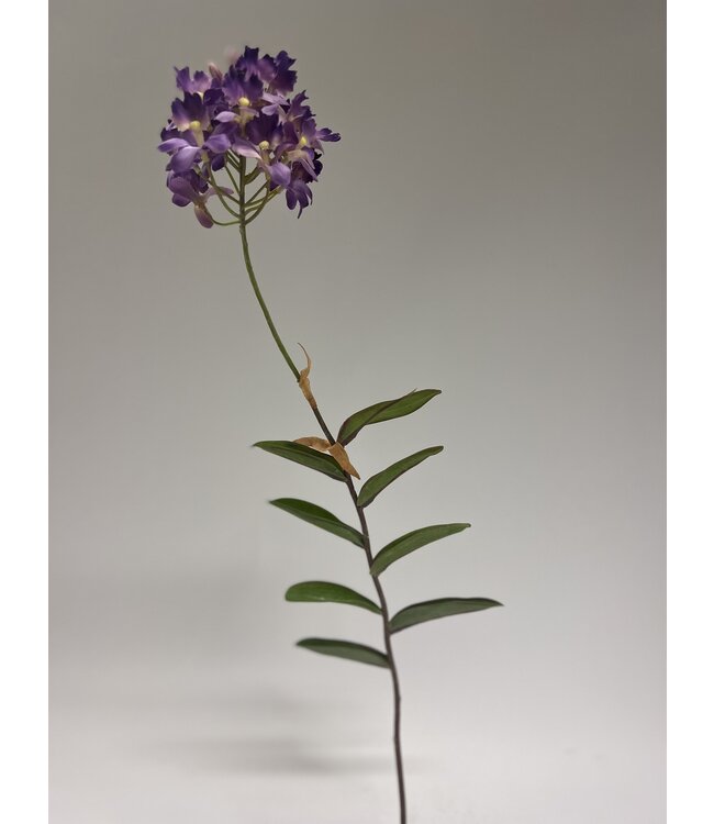 orchidee bol | paars | 50 centimeter | Per stuk te bestellen