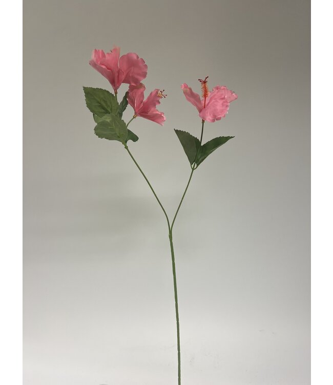 hibiscus 3x | roze | 66 centimeter | Per stuk te bestellen