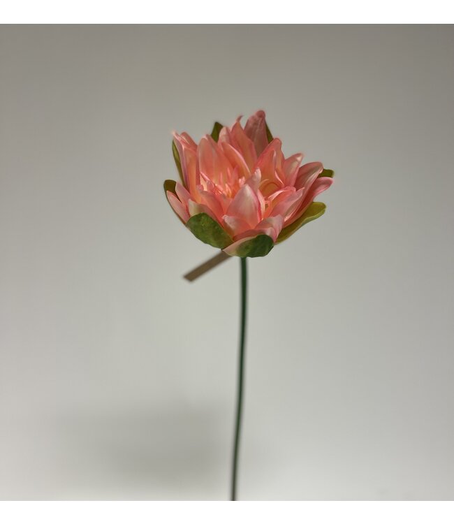 lotus bloem | roze | 47 centimeter | Per stuk te bestellen