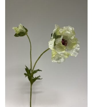 Silk Flowers by JJ klaproos | wit | 66 centimeter | Per stuk