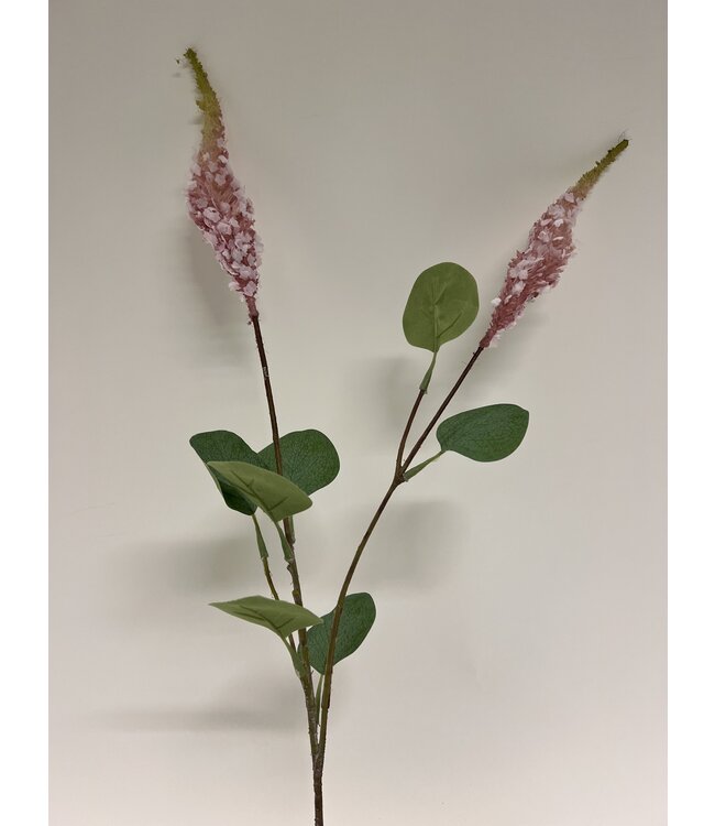 setaria | roze | 62 centimeter | Per stuk te bestellen