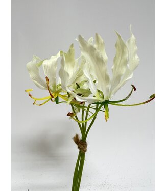 Silk Flowers by JJ gloriosa bundel | wit |20 centimeter | Per stuk