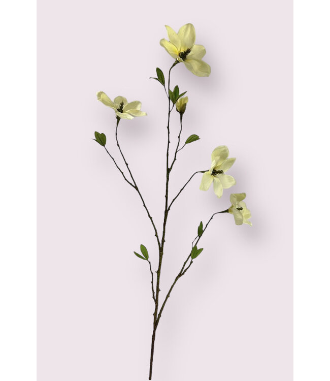 magnolia tak | wit | 110 centimeter | Per stuk te bestellen