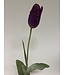 tulp | paars | 67 centimeter | Per stuk te bestellen