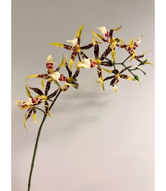 Silk Flowers by JJ spider orchidee | geel bruin | 93 centimeter | Per stuk