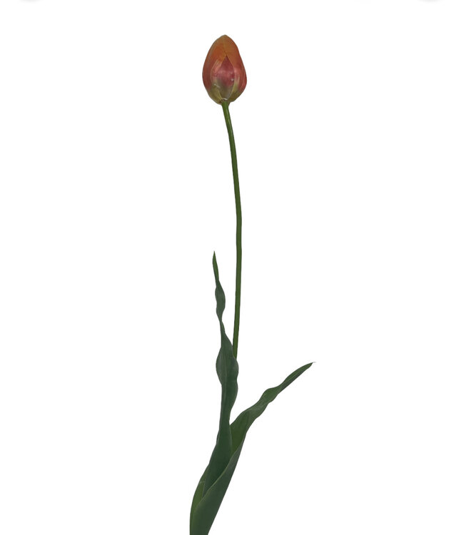 Oranje tulp zijden bloem | Lengte 66 centimeter | Per stuk te bestellen