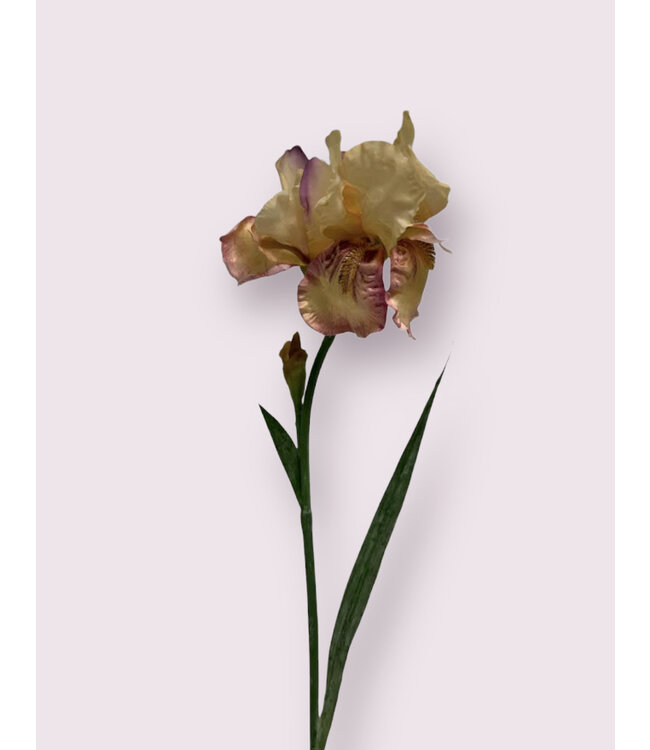 iris | roze | 70 centimeter | Per stuk te bestellen