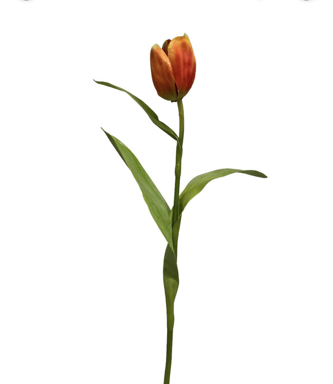 Oranje tulp zijden bloem | Lengte 47 centimeter | Per stuk te bestellen