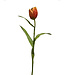 tulp  | oranje | 47 centimeter | Per stuk te bestellen