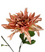 dahlia  | roze | 63 centimeter | Per stuk te bestellen