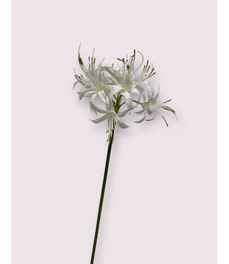 Silk Flowers by JJ nerine | wit | 67 centimeter | Per stuk